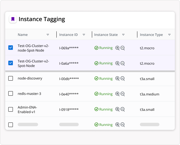 Keep your cloud environment neat with our unique tagging feature that simplifies EC2 management